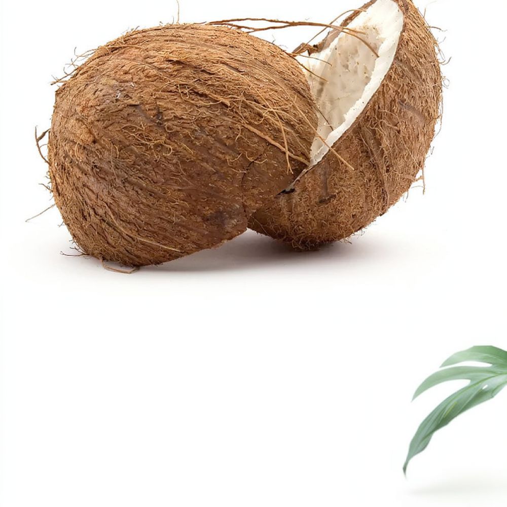 Media Tanam Briket Sabut Kelap - Substrate Coconut Fiber ulasan dan harga